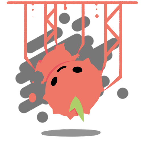 Logo Lychee Slicer